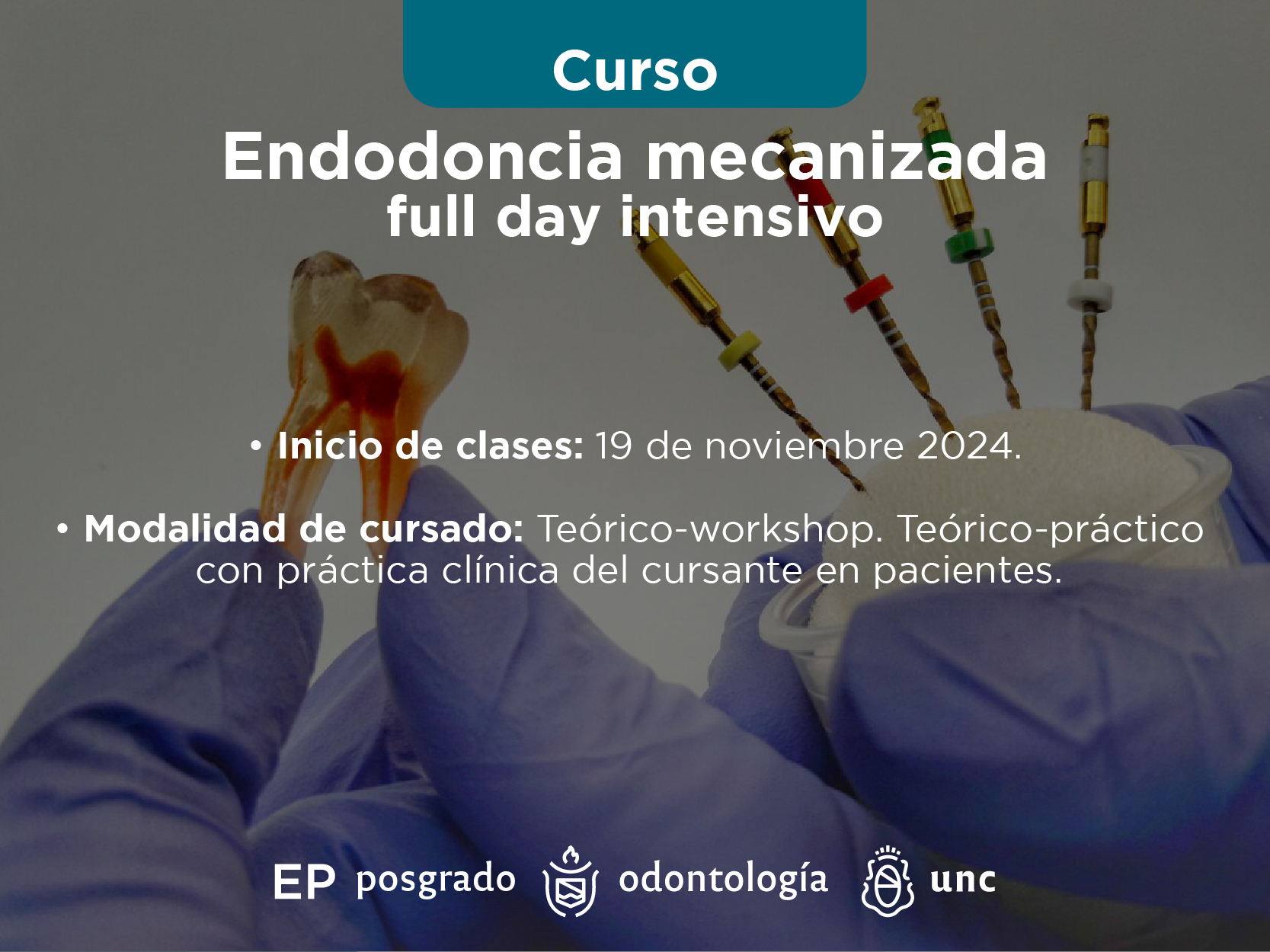 Endodoncia mecanizada full day intensivo. Año  2024.