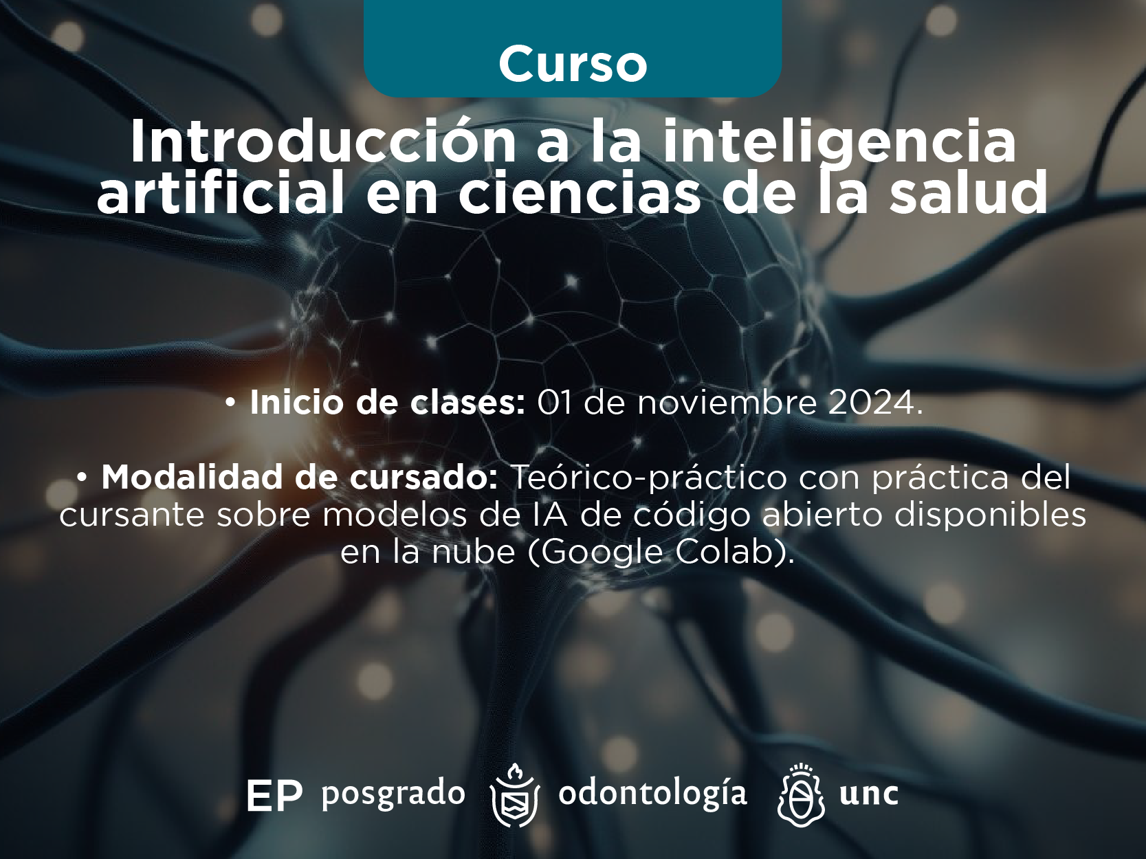 Introducción a la inteligencia artificial en ciencias de la salud 2024.